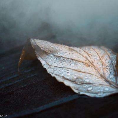 亚博足球外围软件下载手机版